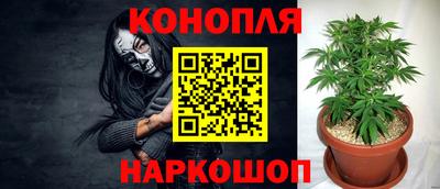 ГАЛЛЮЦИНОГЕННЫЕ ГРИБЫ Ленинск-Кузнецкий