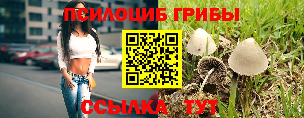 Псилоцибиновые грибы Psilocybe  Галлюциногенные грибы ЛСД  Алексин  Вход с VPN 